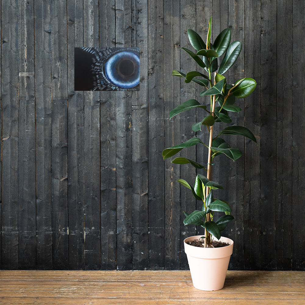 Poster Deep View of The Raven Eye