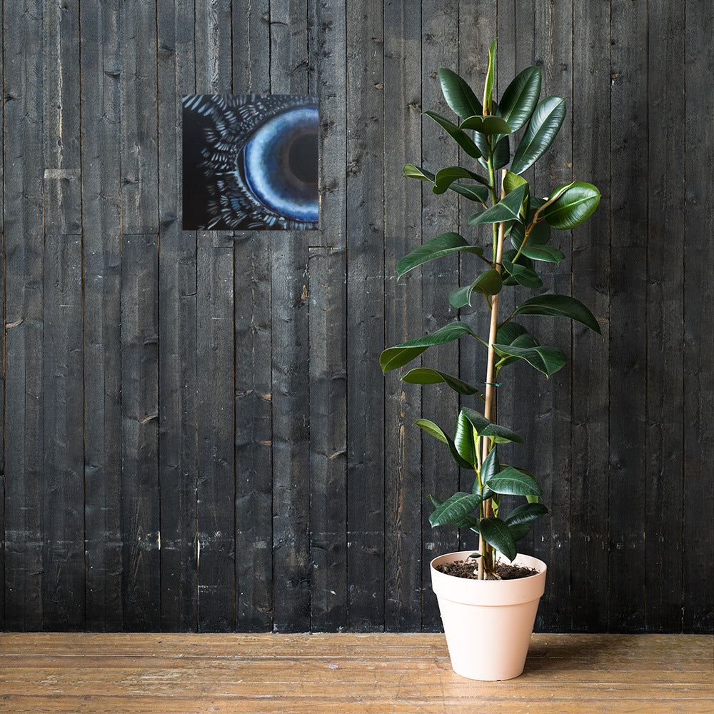 Poster Deep View of The Raven Eye