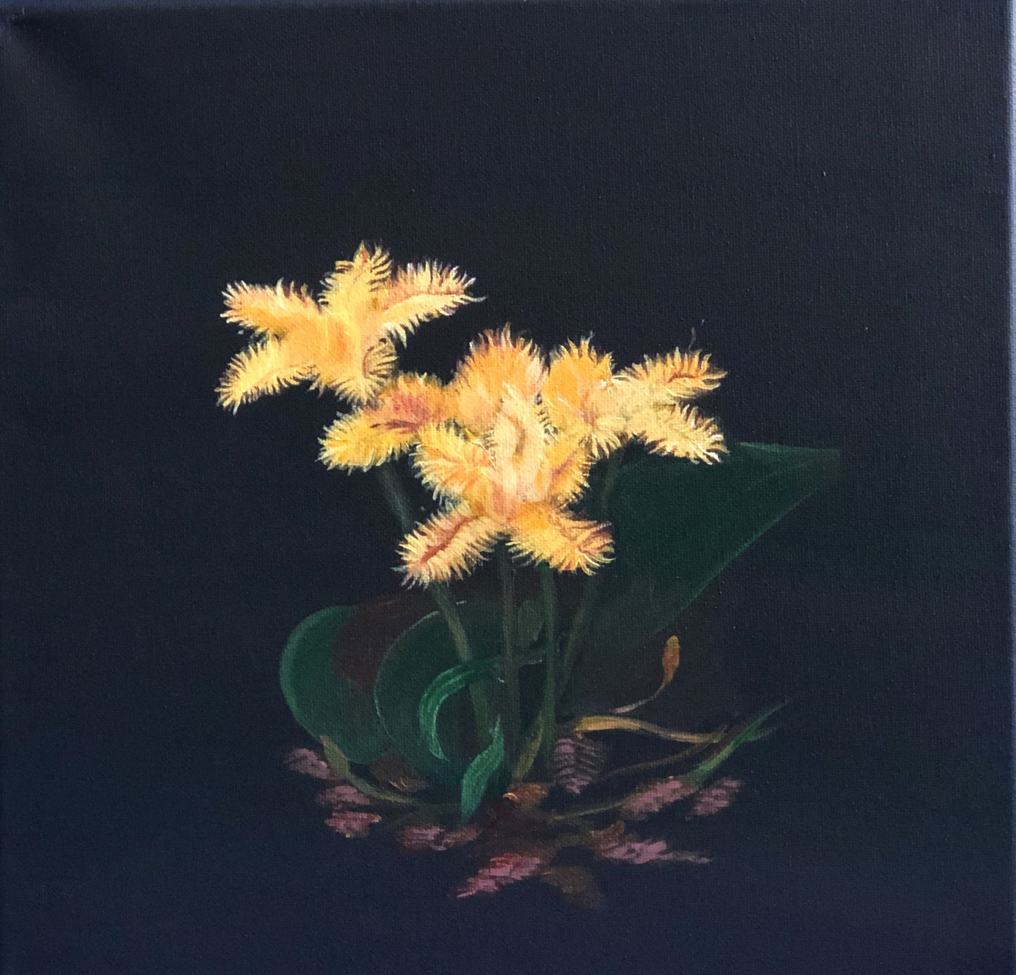 Sunshine in deep water