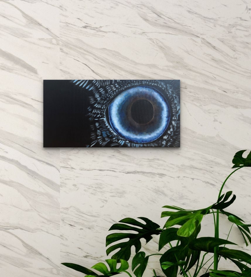 Deep View of The Raven Eye