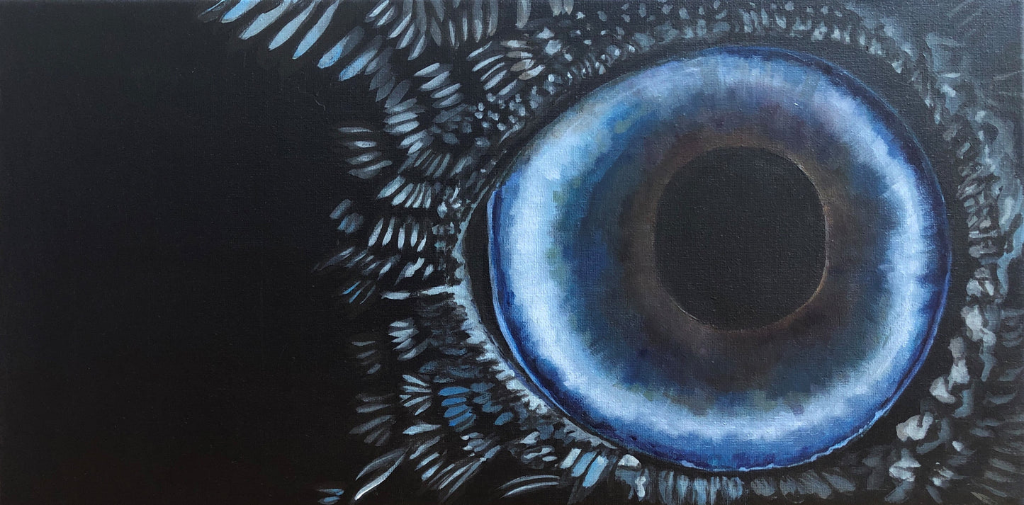 Deep View of The Raven Eye